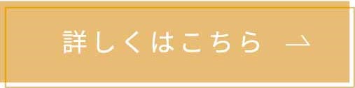 詳しくはこちら四角くすみオレンジ.jpg